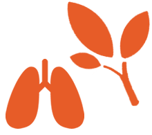 Environmental impact icon